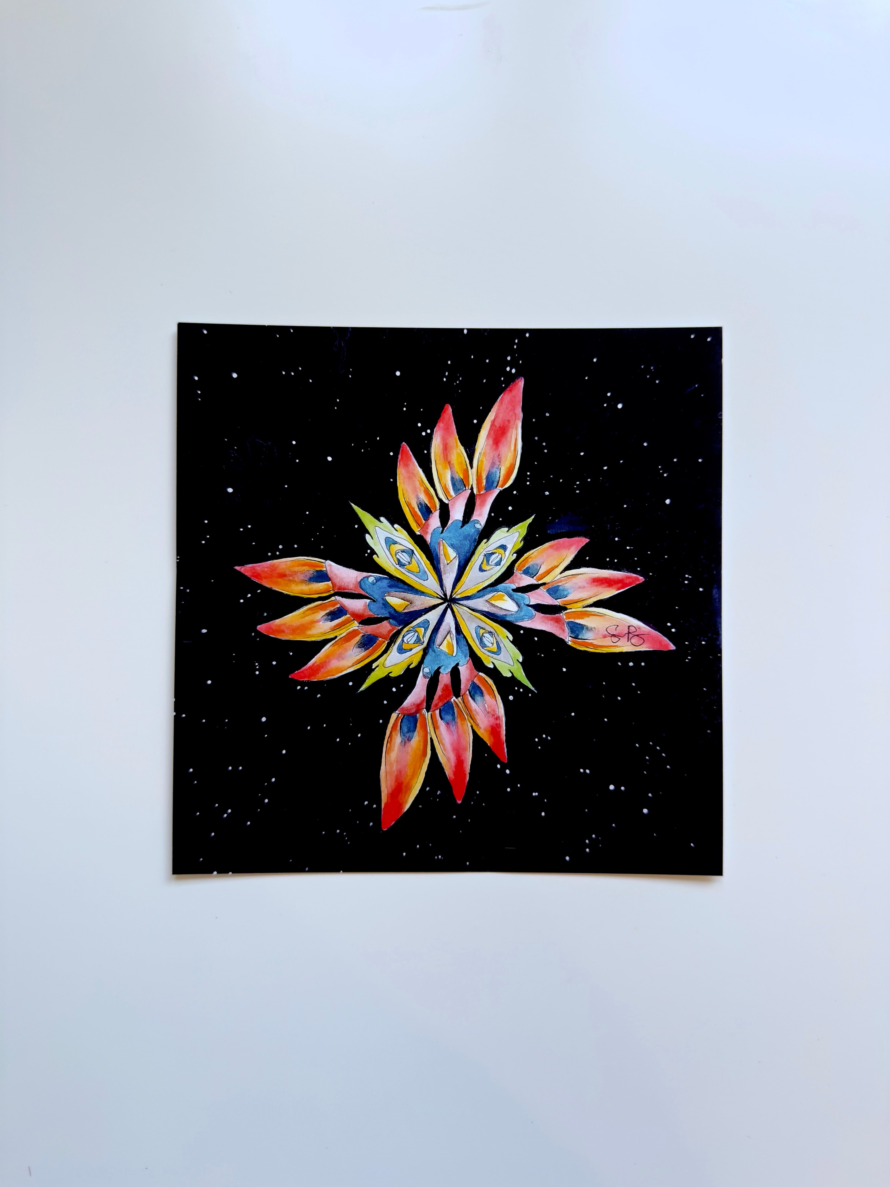 "Battleship in Bloom" Print 8"x8"